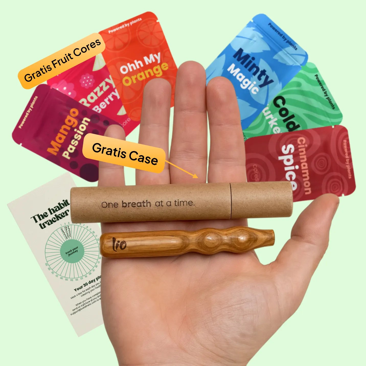 Lio® Journey Pack