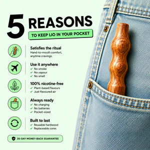 [en] 5 reasons